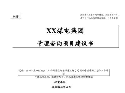XX戰略建議書 企業管理咨詢的關鍵路徑與實施指南